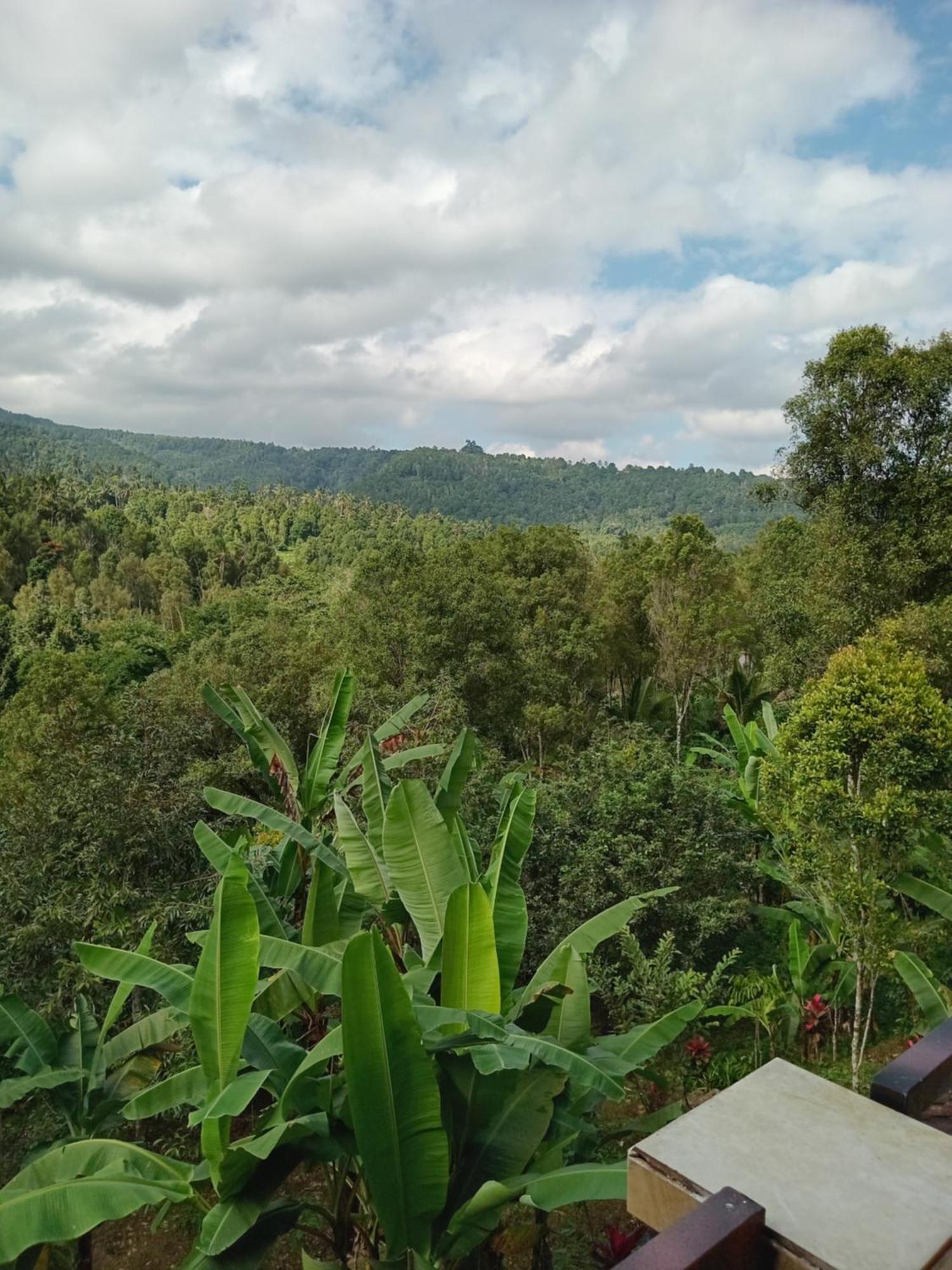 Kanaya Homestay & Warung Heaven 姆杜克 外观 照片