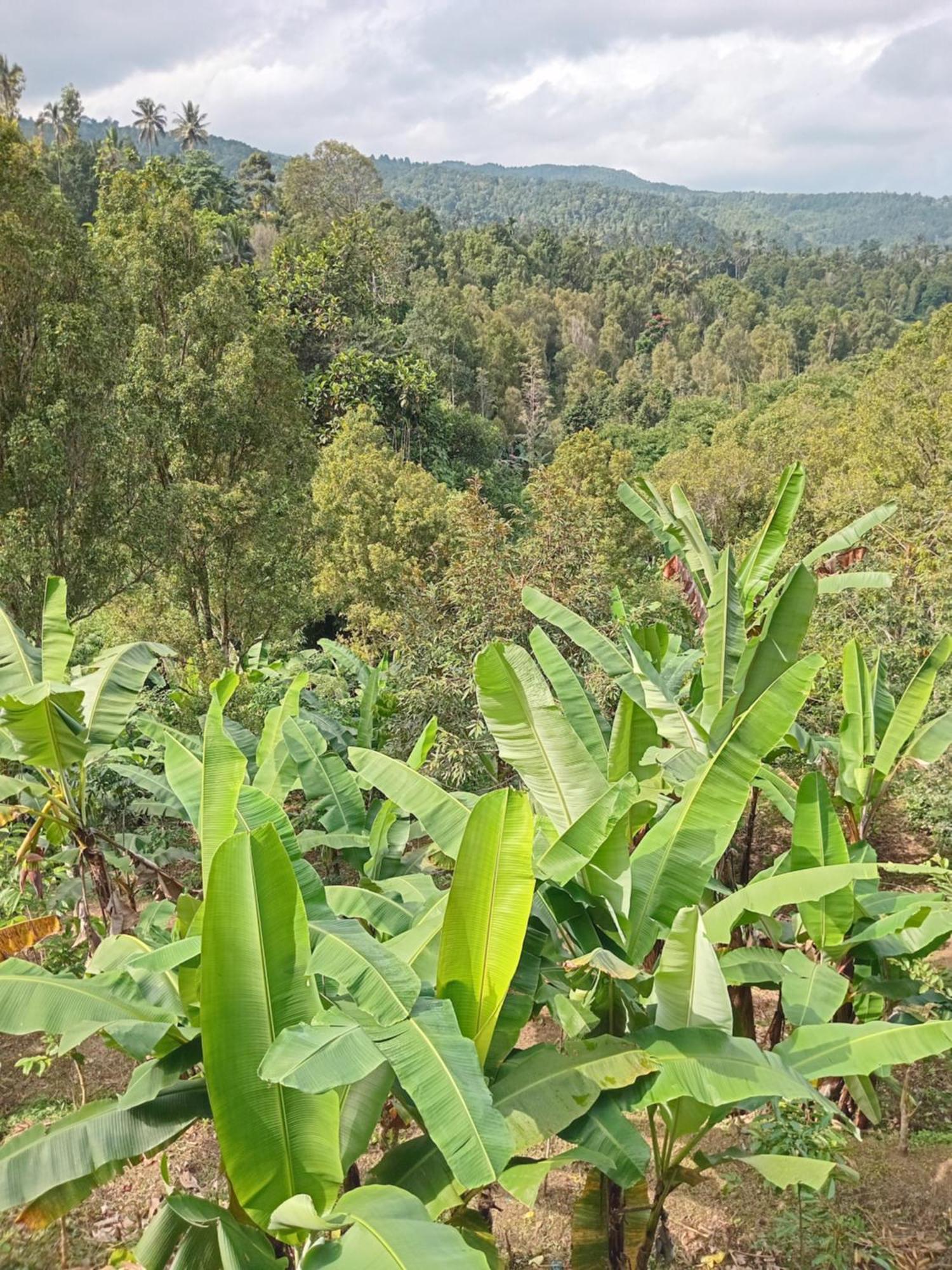 Kanaya Homestay & Warung Heaven 姆杜克 外观 照片